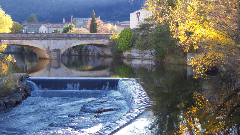 quillann1